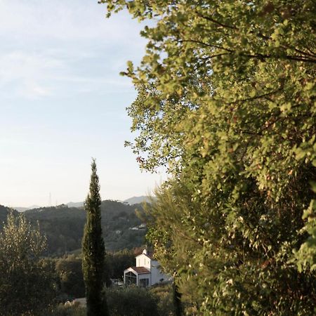 B&B La Fustaia Сарцана Экстерьер фото