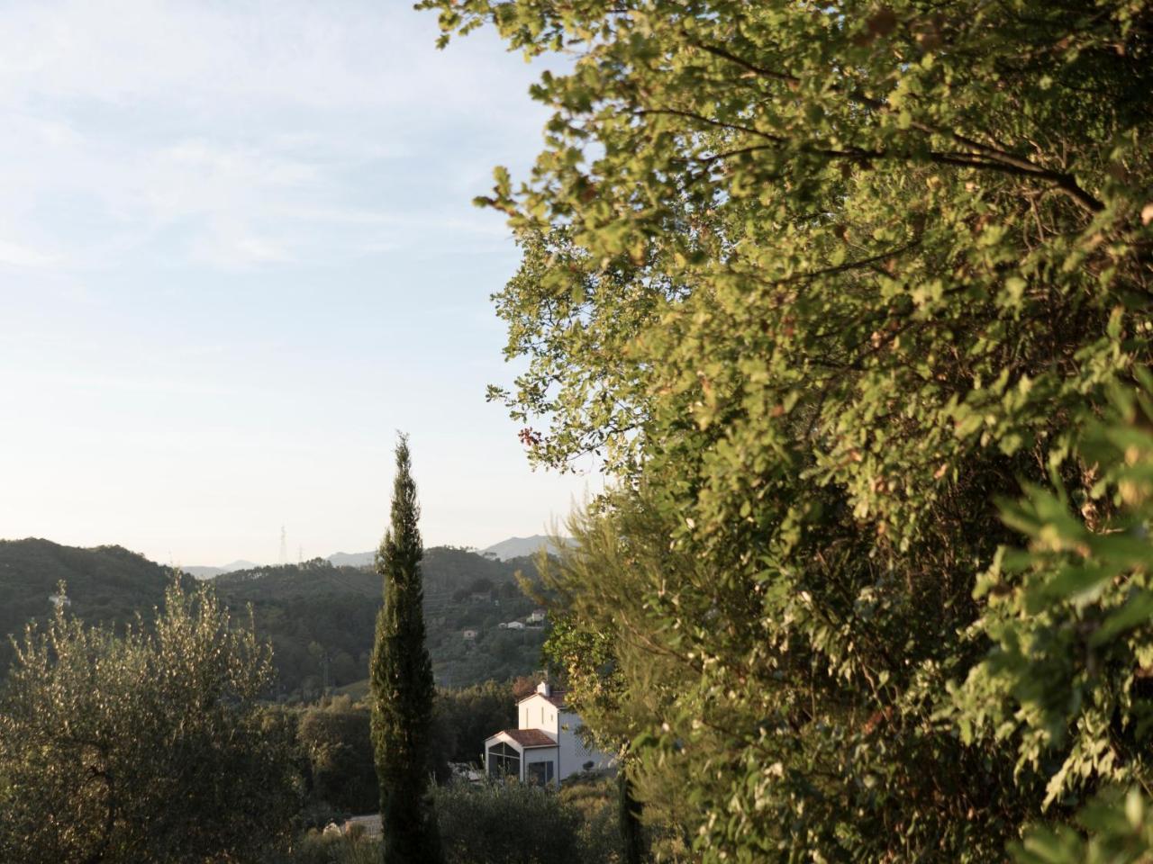 B&B La Fustaia Сарцана Экстерьер фото